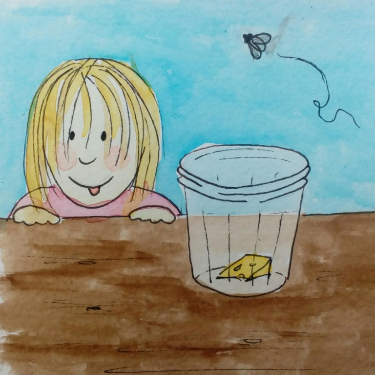 IMG_20160528_200844_262