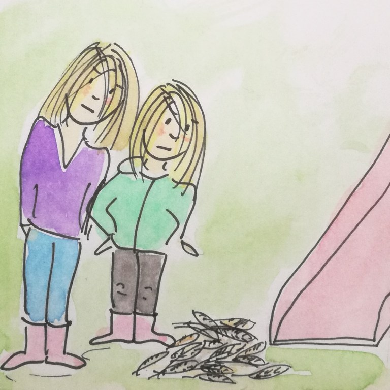 Onherkenbaar gevlogen